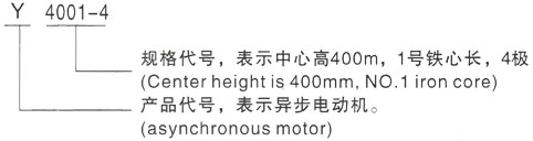 西安泰富西玛Y系列(H355-1000)高压YJTG-180M-2A/22KW三相异步电机型号说明