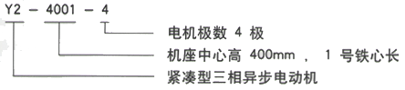 YR系列(H355-1000)高压YJTG-180M-2A/22KW三相异步电机西安西玛电机型号说明